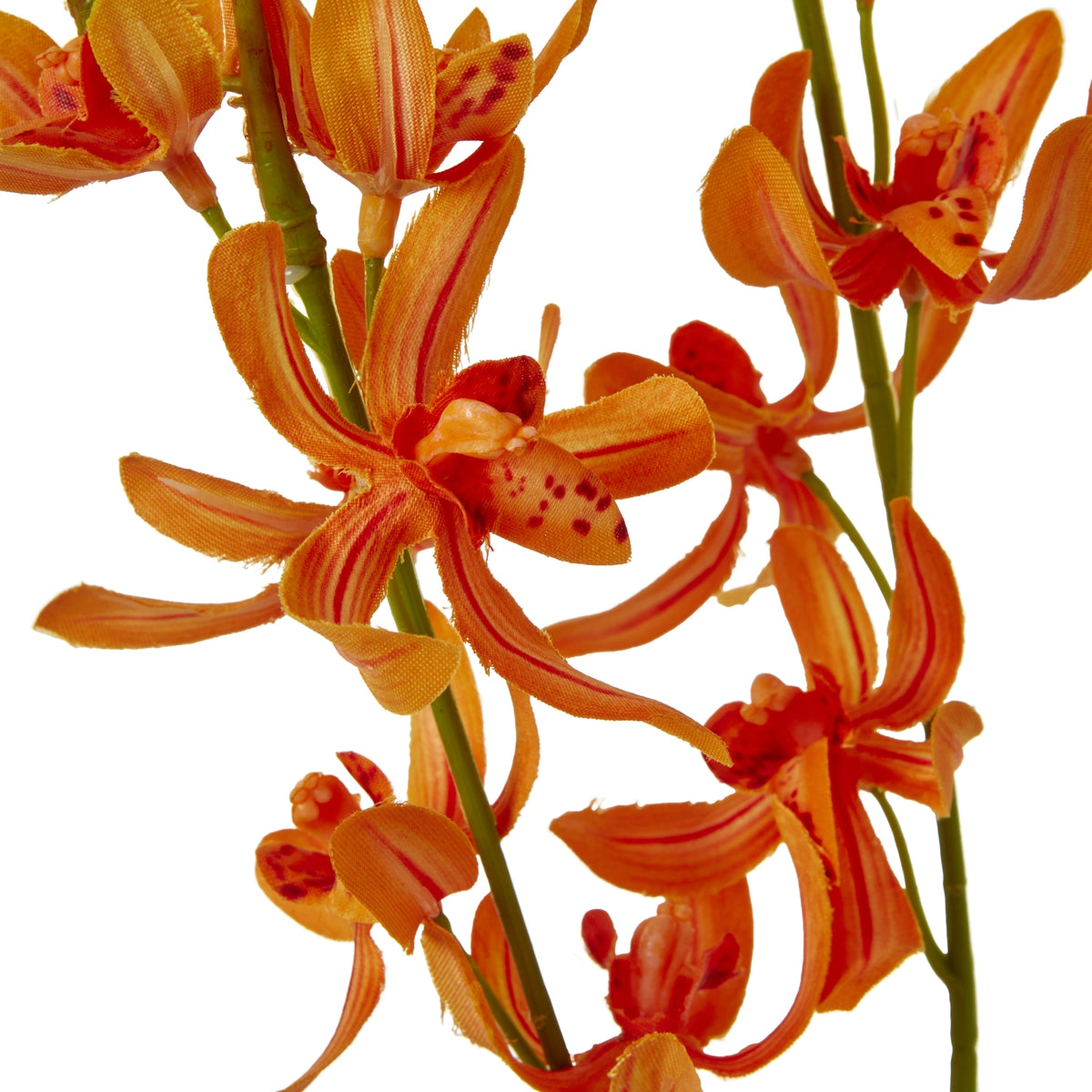 Orange Cymbidium Spray – alternate view 2