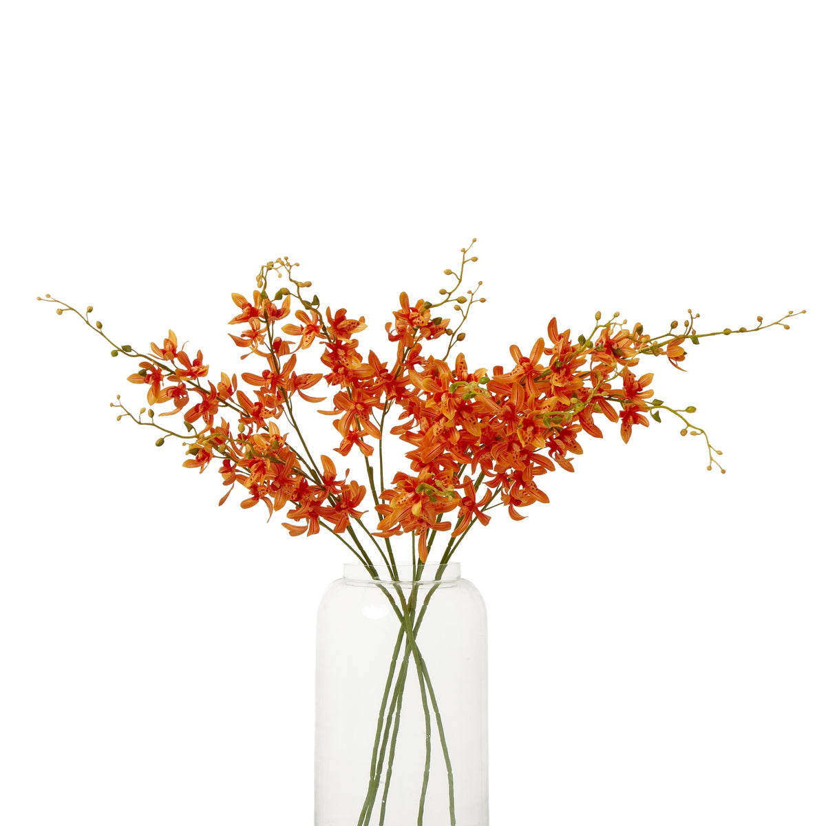 Orange Cymbidium Spray – alternate view 3