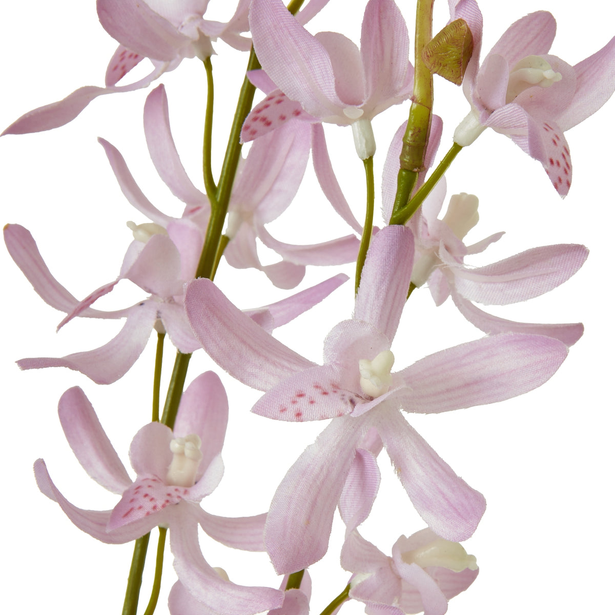 Lilac Cymbidium Spray – alternate view 2