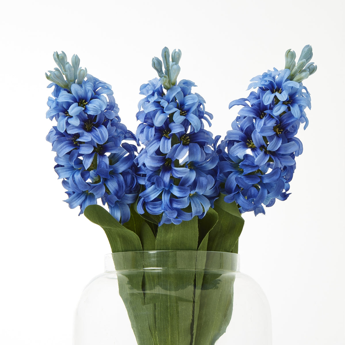 Blue Hyacinth Stem – alternate view 3