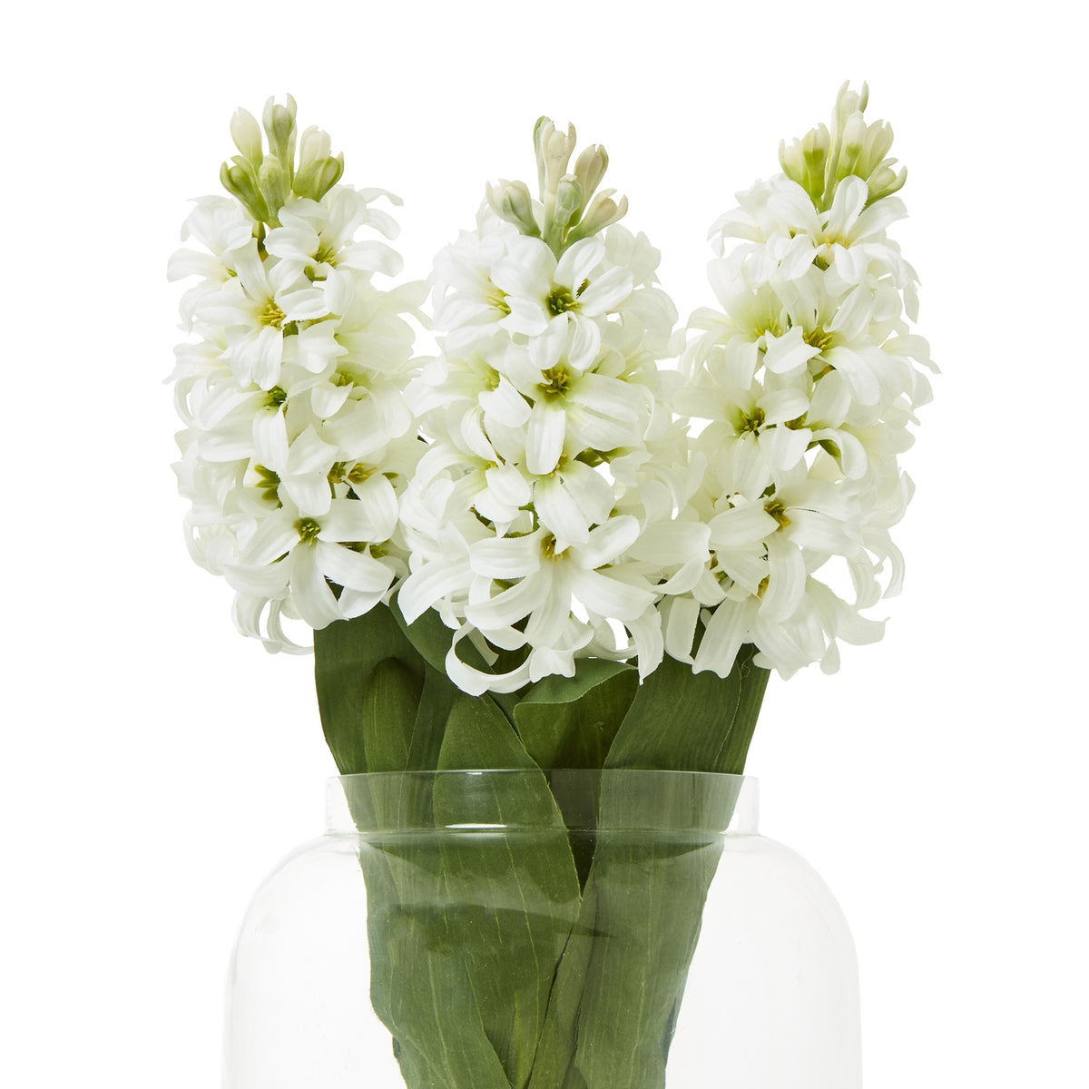 White Hyacinth Stem – alternate view 3
