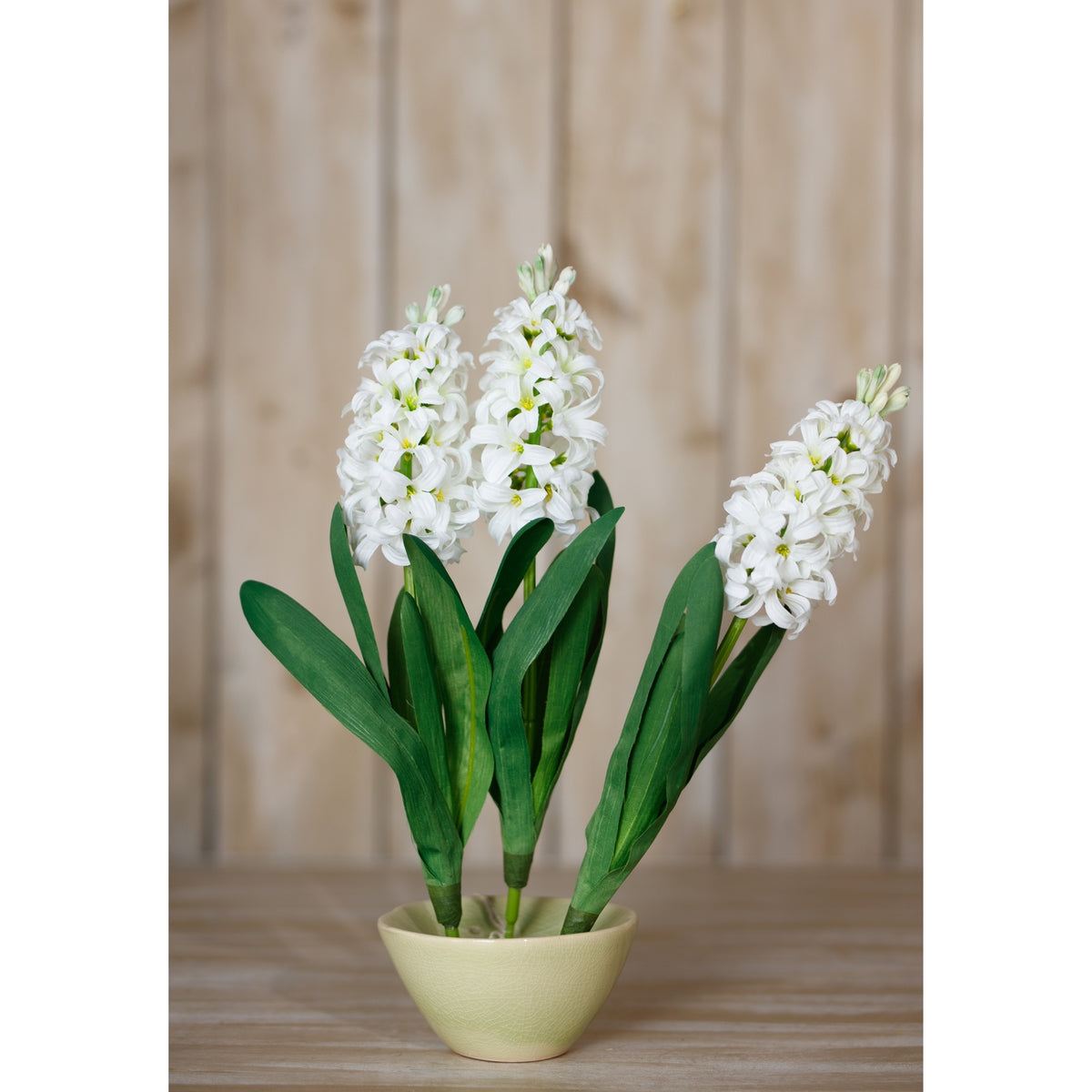 White Hyacinth Stem – alternate view 4