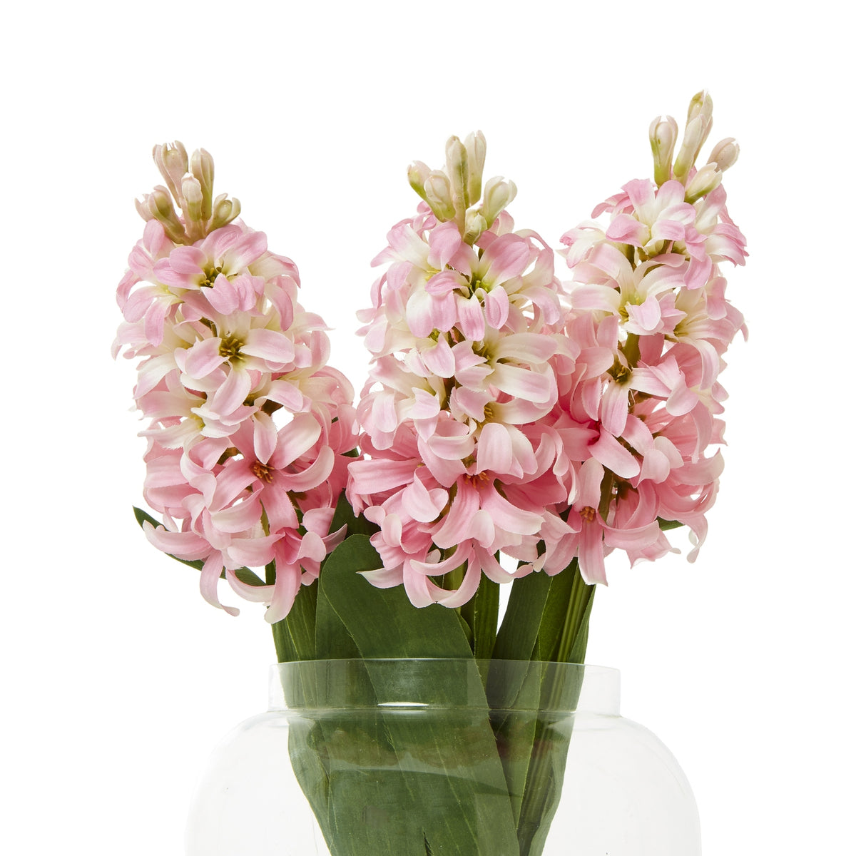 Pink Hyacinth Stem – alternate view 3