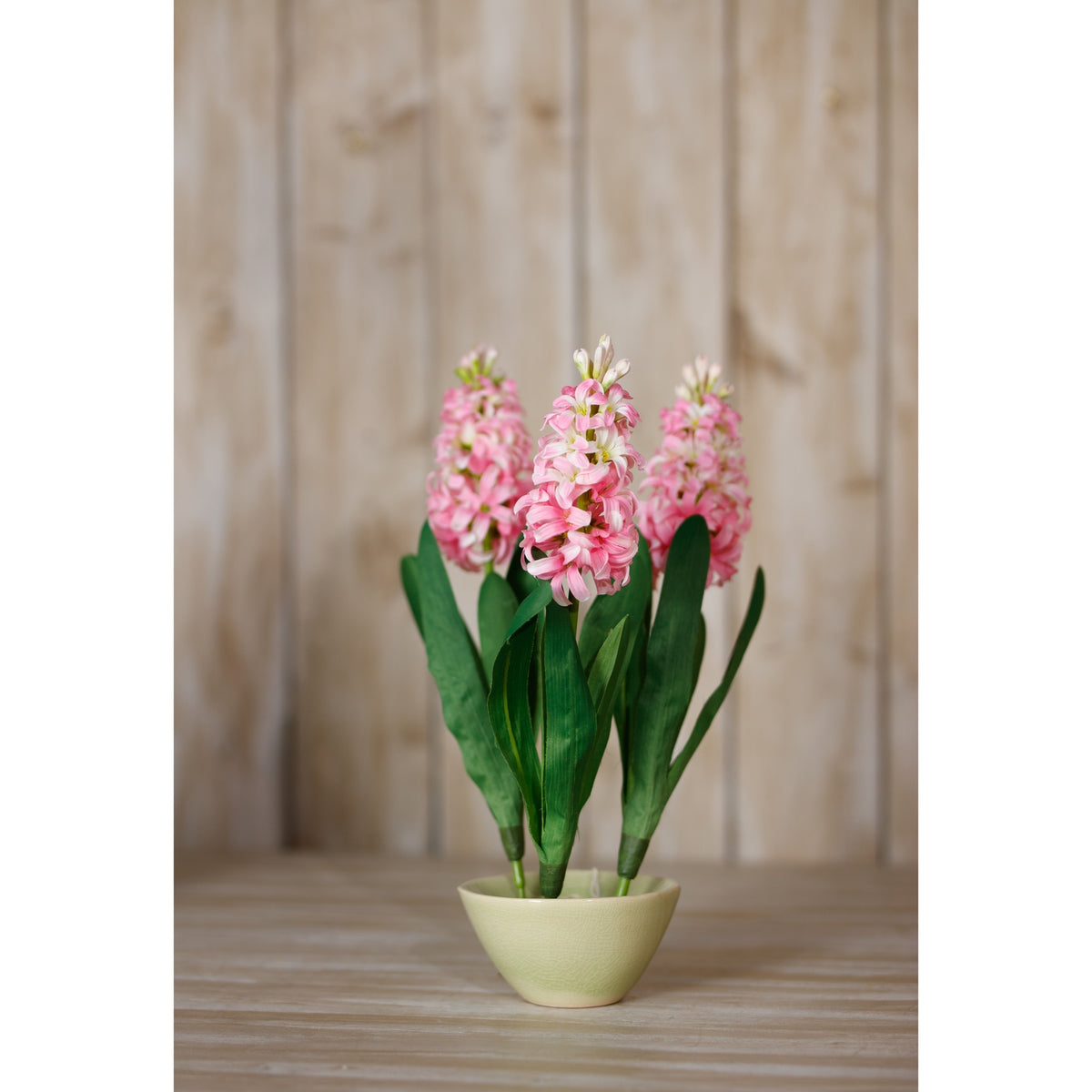 Pink Hyacinth Stem – alternate view 4
