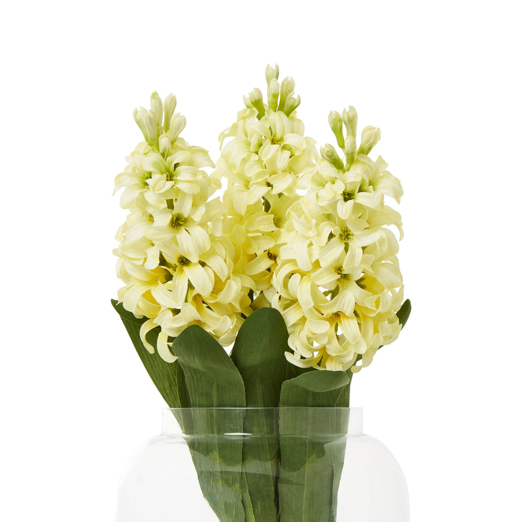 Yellow Hyacinth Stem – alternate view 3