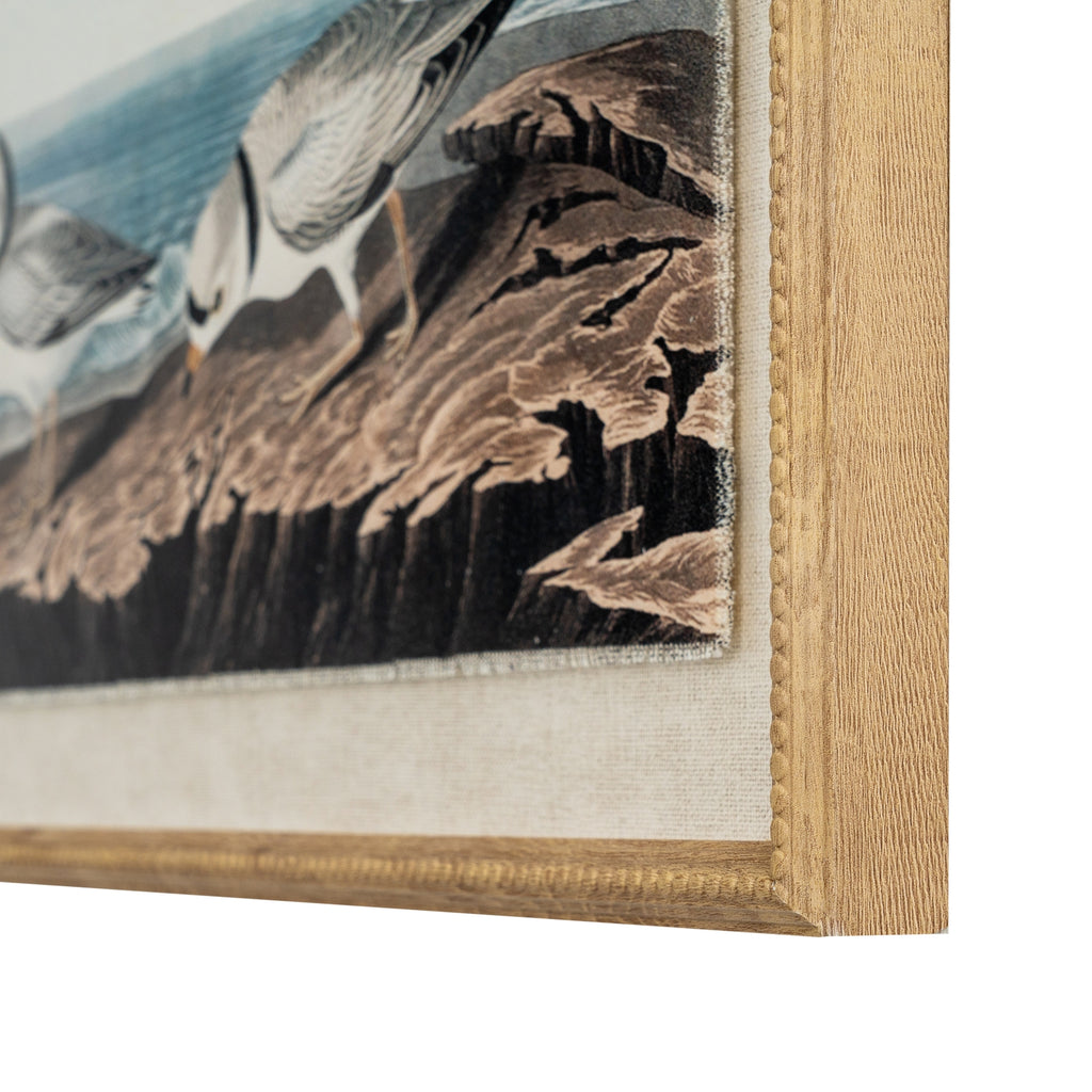 Flora & Fauna Collection Plovers On Linen In Beaded Frame – alternate view 2