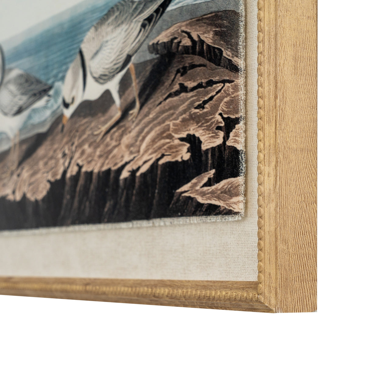 Flora & Fauna Collection Plovers On Linen In Beaded Frame – alternate view 2