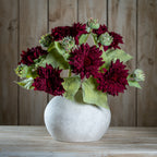 Dahlia Burgundy Raven Stem – alternate view 2
