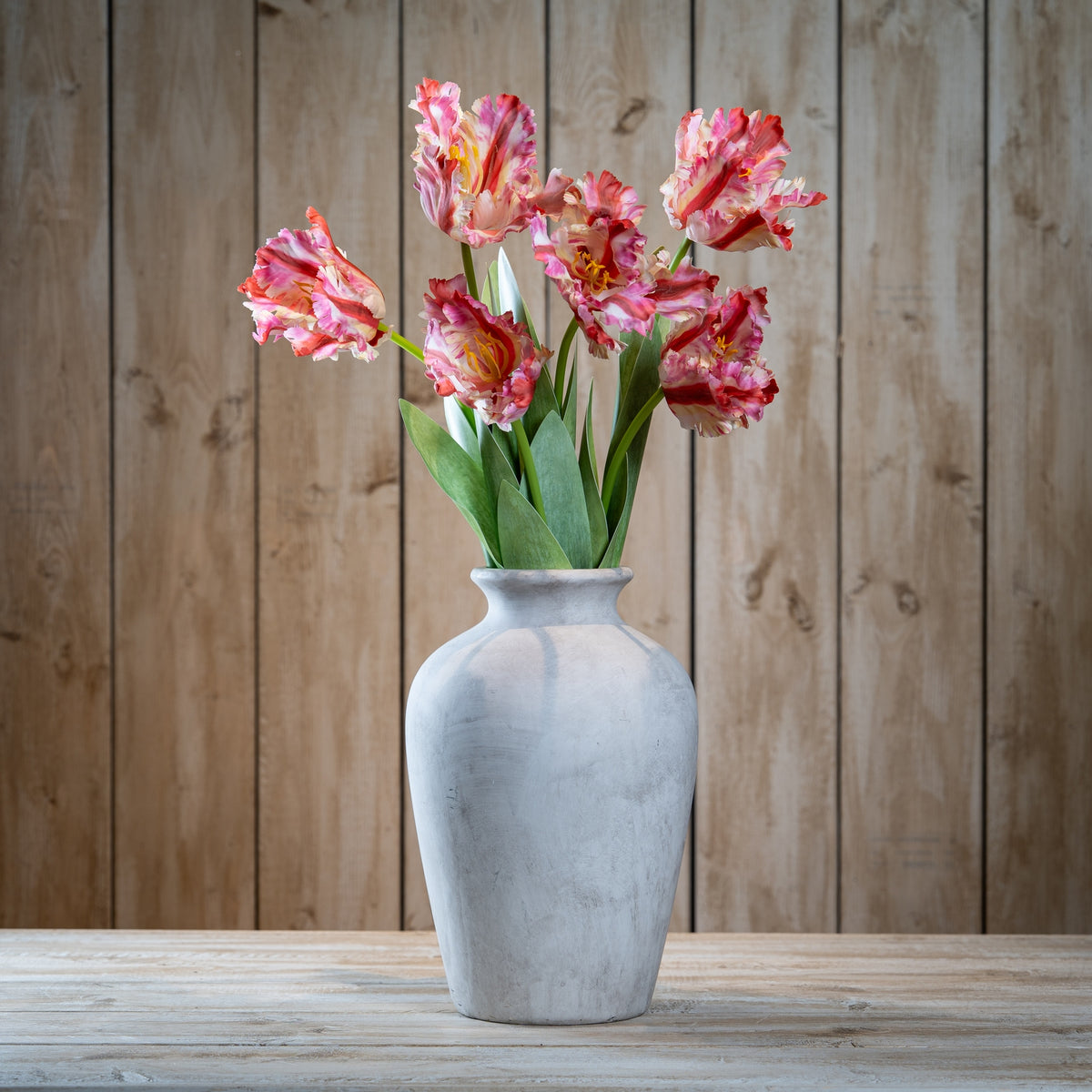 Multi Pink Parrot Tulip – alternate view 2