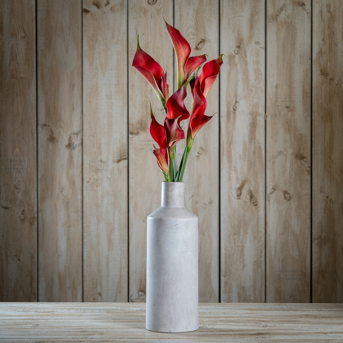 Fireball Calla Lily – alternate view 2