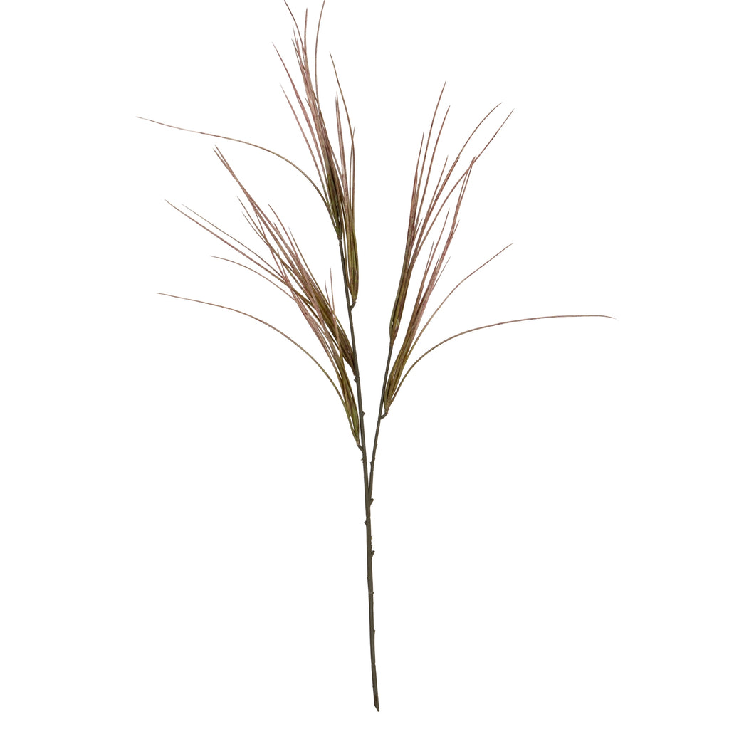 Brome Grass Spray – alternate view 2