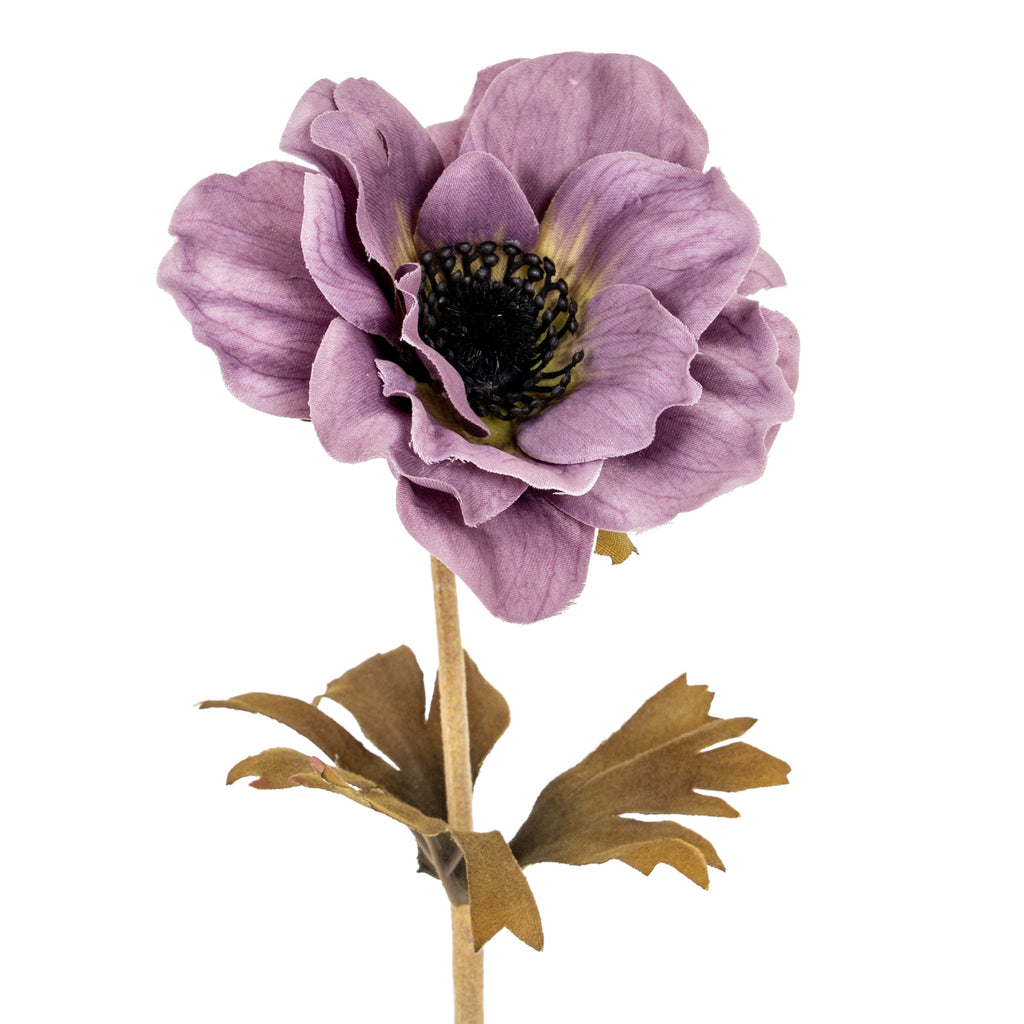 Purple Anemone Stem – alternate view 2