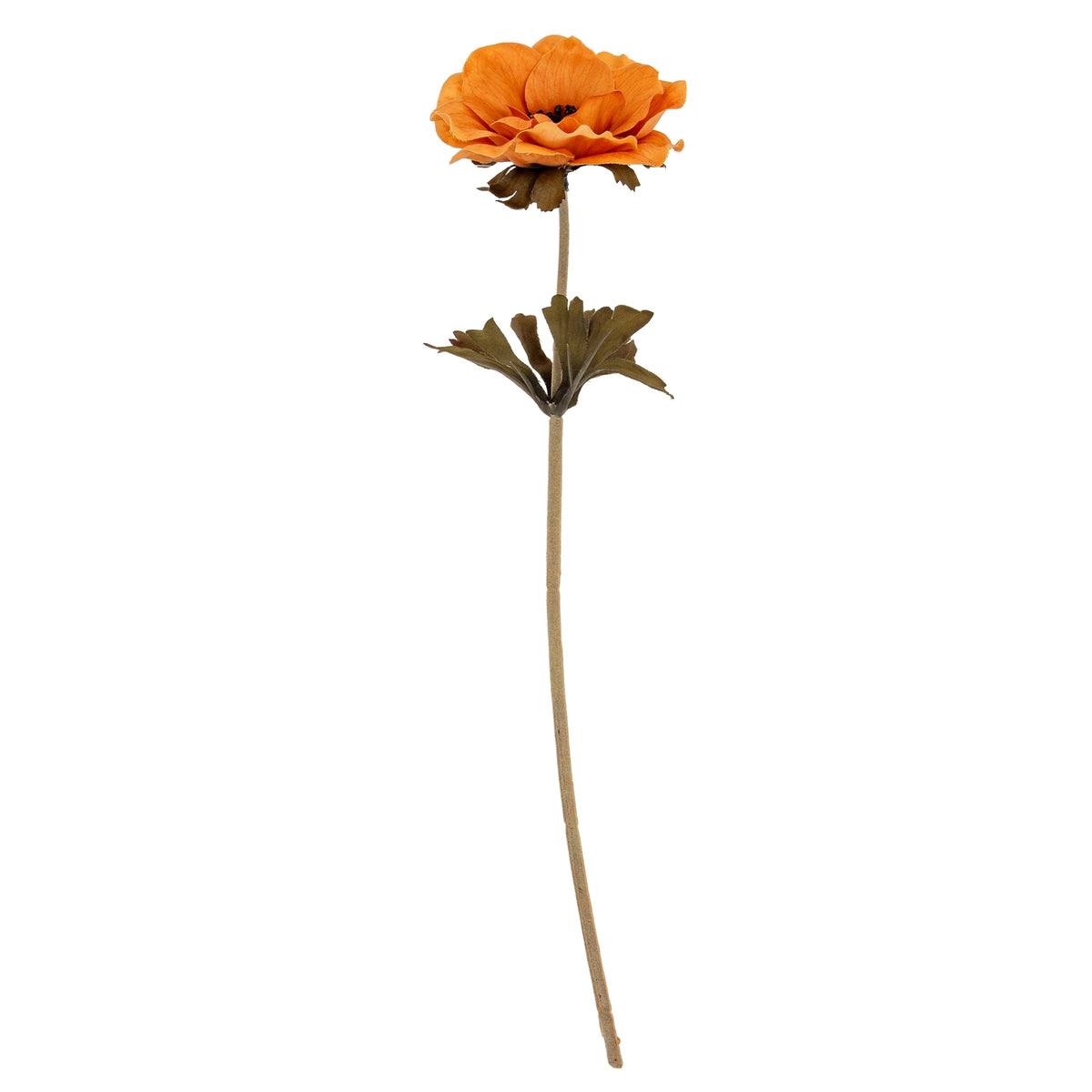 Yellow Anemone Stem – alternate view 2