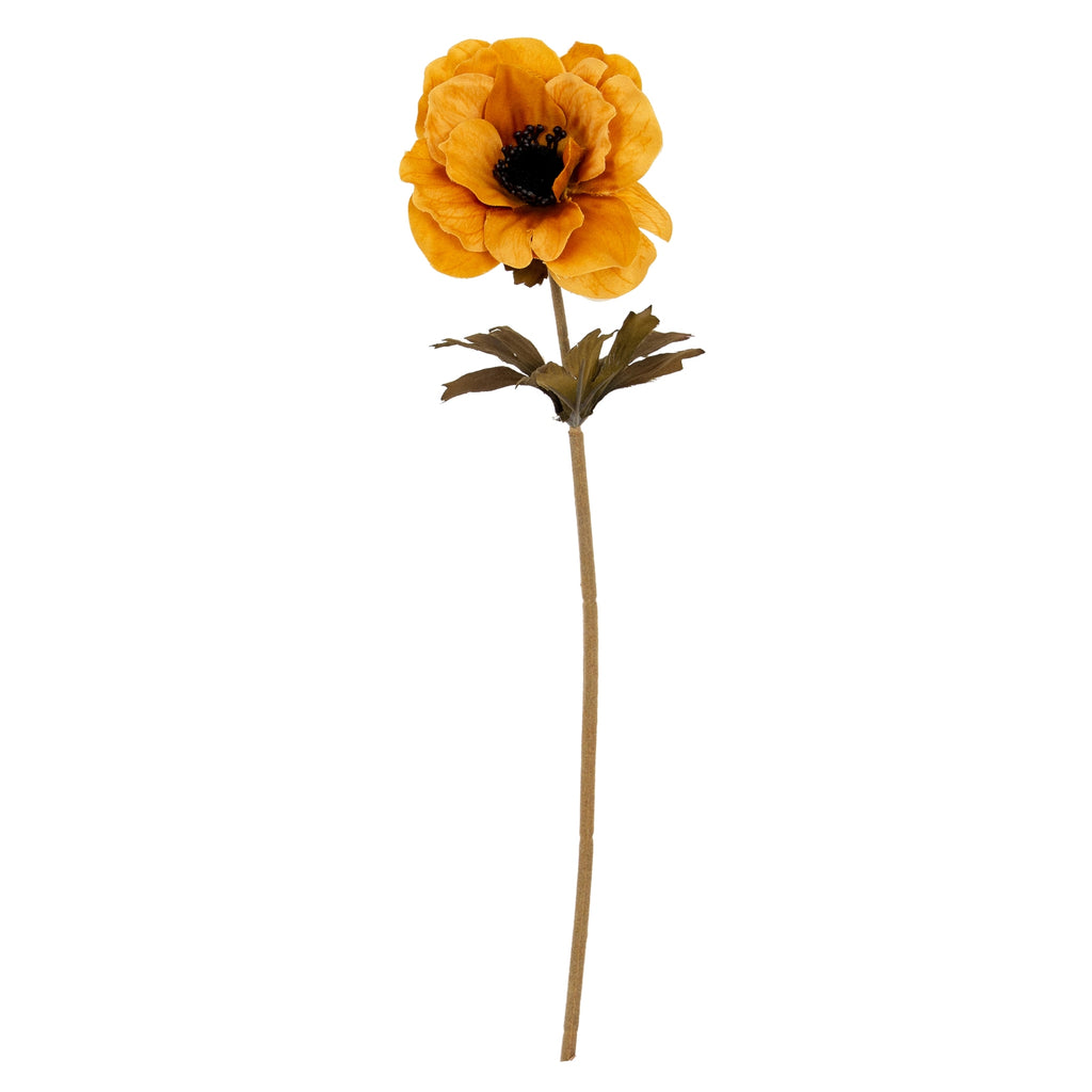 Orange Anemone Stem – alternate view 2