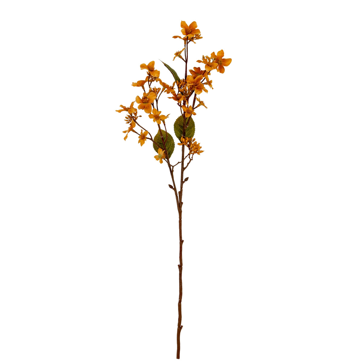 Yellow Vernicia Fordii Spray – alternate view 2