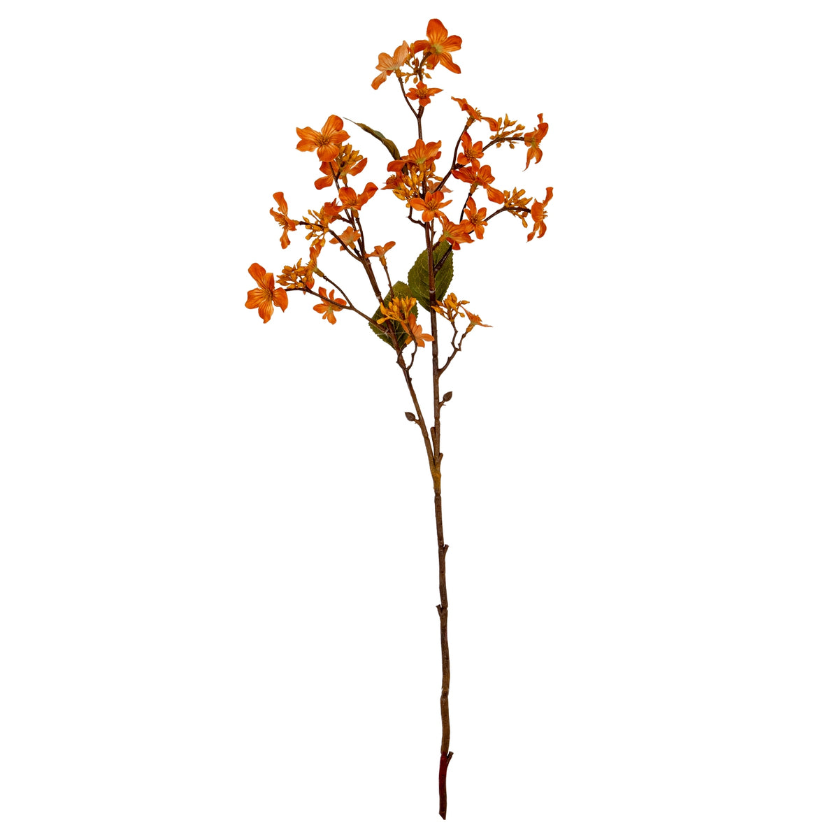 Orange Vernicia Fordii Spray – alternate view 2