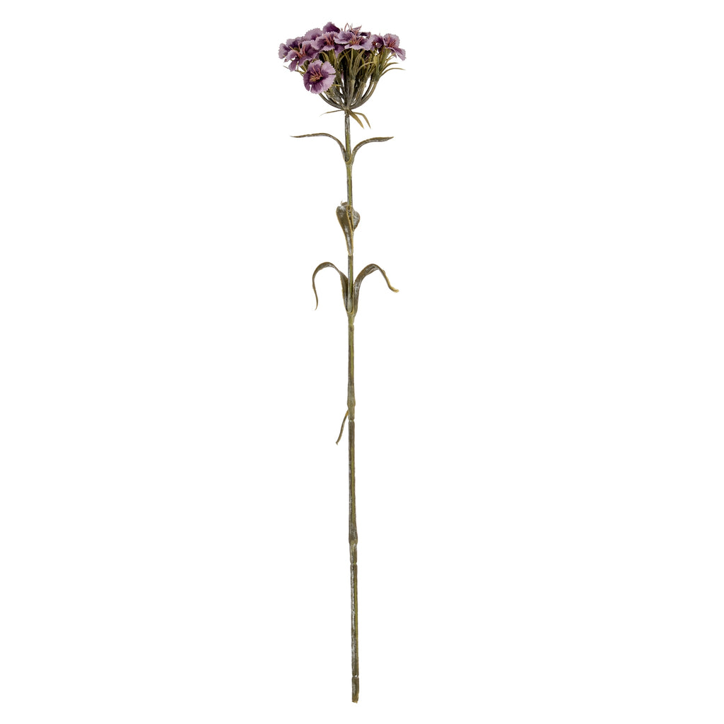 Purple Dianthus Spray – alternate view 2