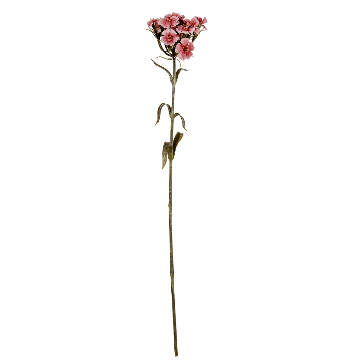 Pink Dianthus Spray – alternate view 2