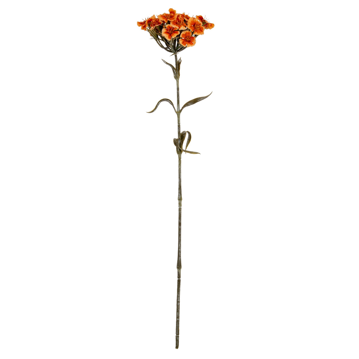 Orange Dianthus Spray – alternate view 2