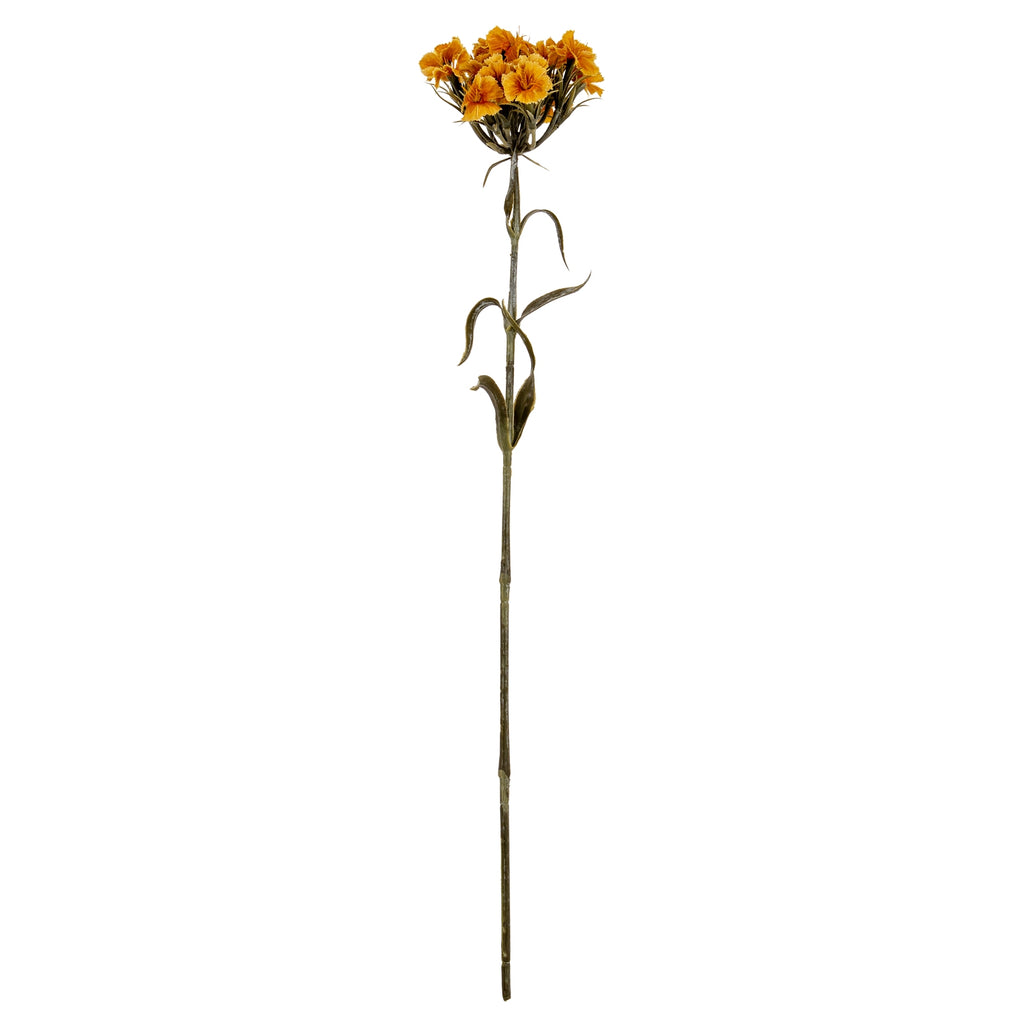 Yellow Dianthus Spray – alternate view 2