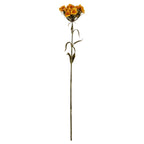 Yellow Dianthus Spray – alternate view 2