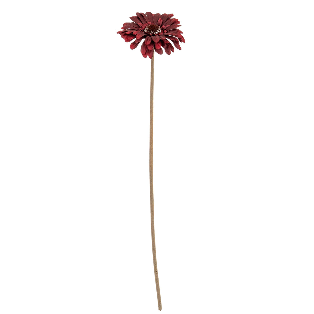 Burgundy Gerbera Stem – alternate view 2