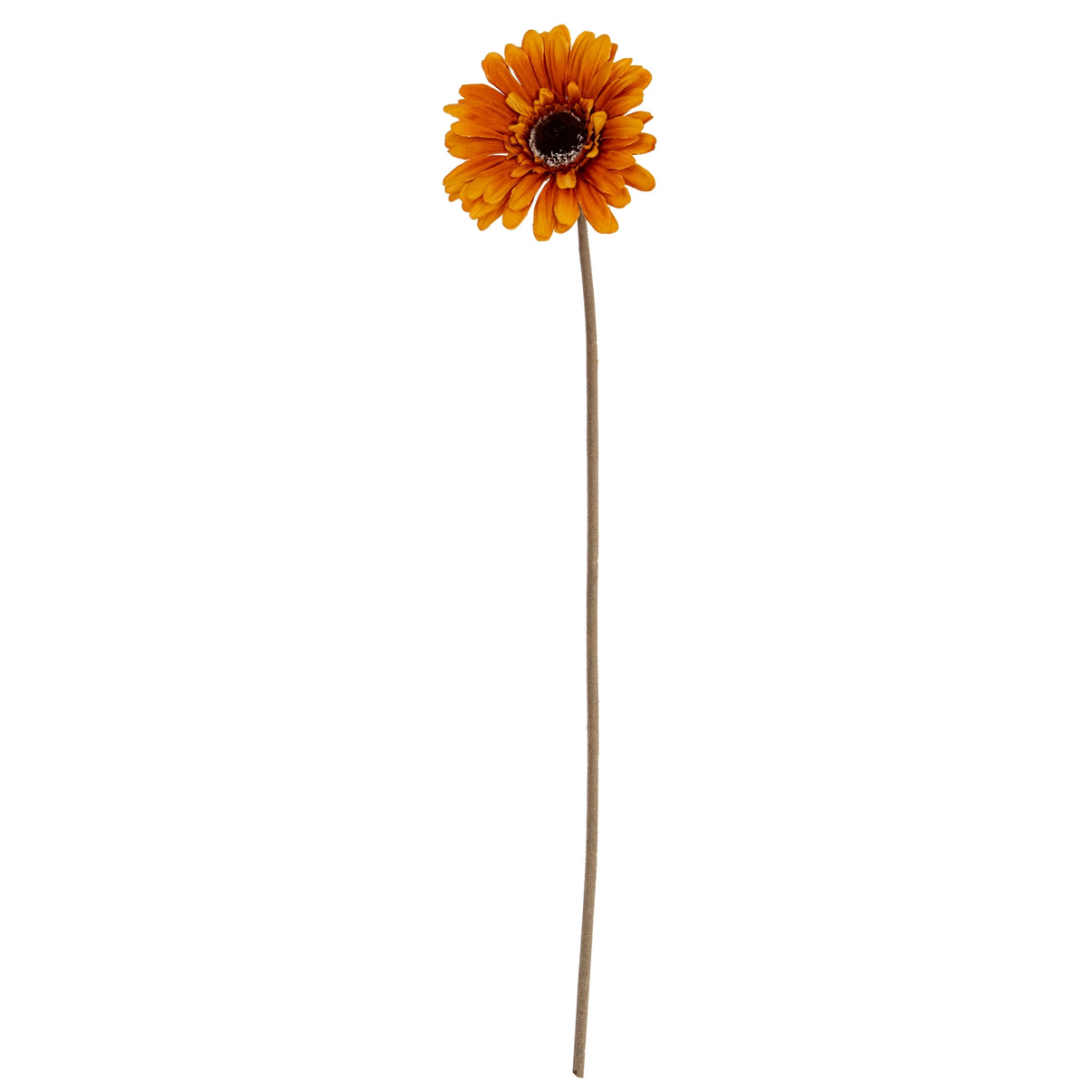 Soft Yellow Gerbera Stem – alternate view 2