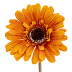 Soft Yellow Gerbera Stem