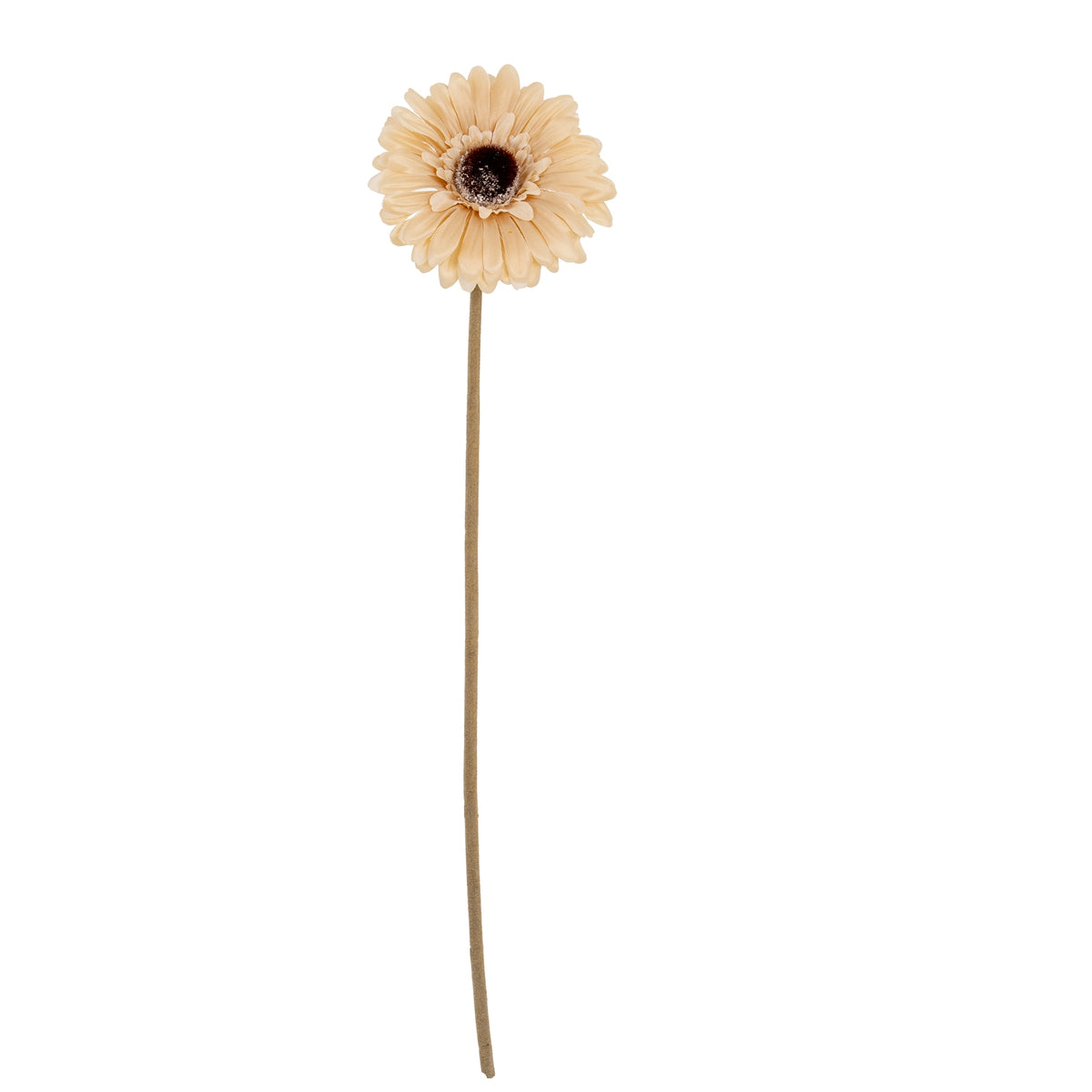 Cream Gerbera Stem – alternate view 2