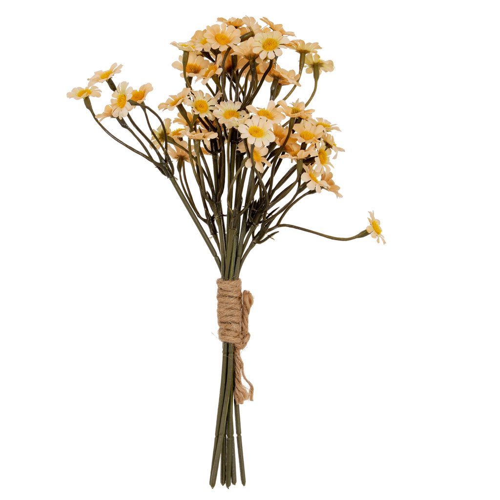 Cream Daisy Bunch – alternate view 2