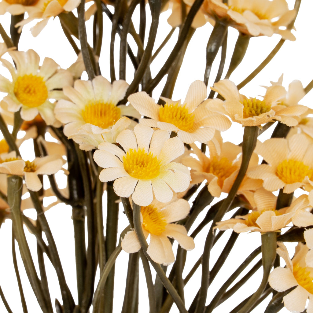 Cream Daisy Bunch – alternate view 3