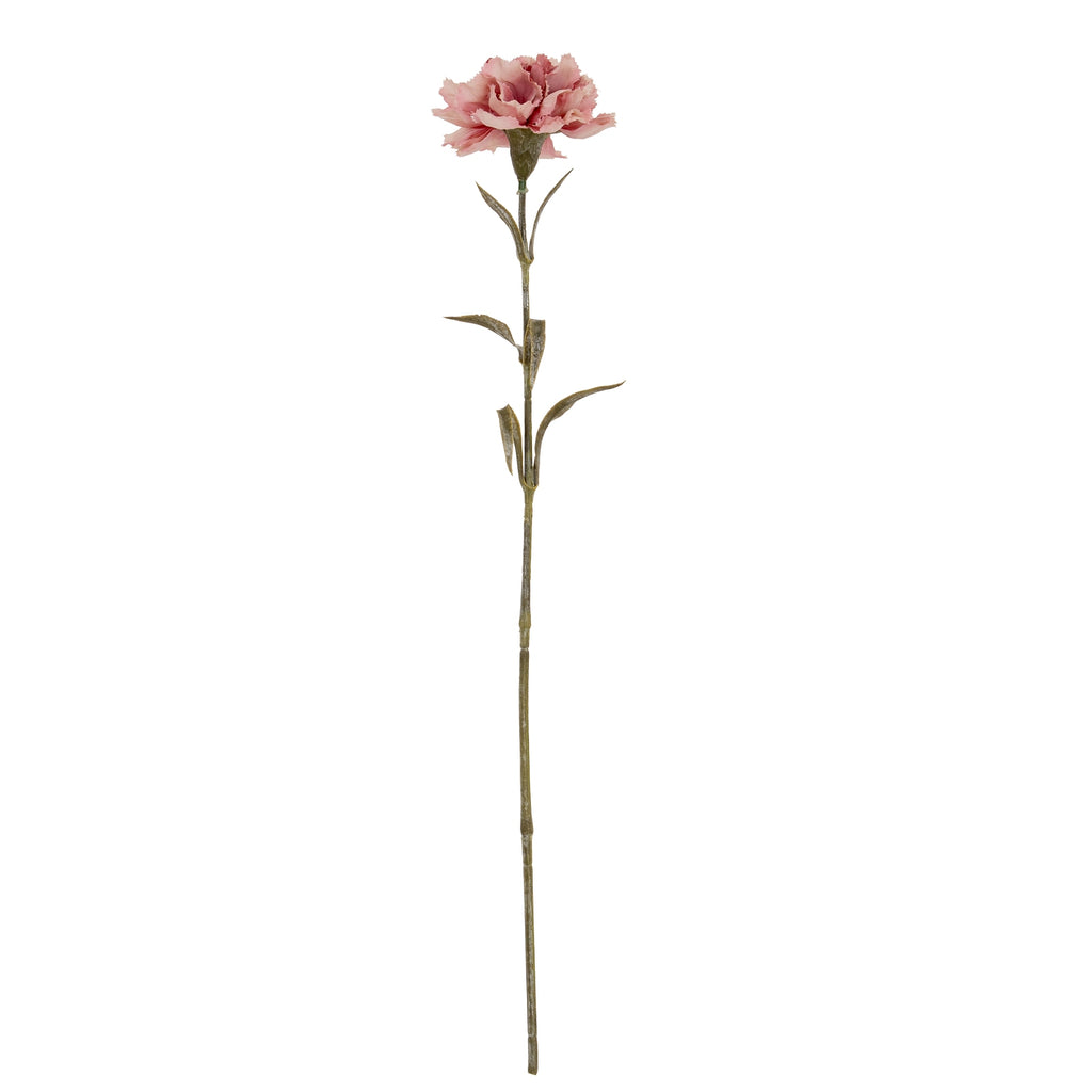 Pink Carnation Stem – alternate view 2
