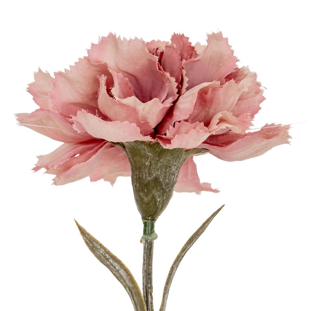 Pink Carnation Stem – alternate view 3