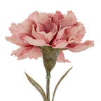 Pink Carnation Stem – alternate view 3
