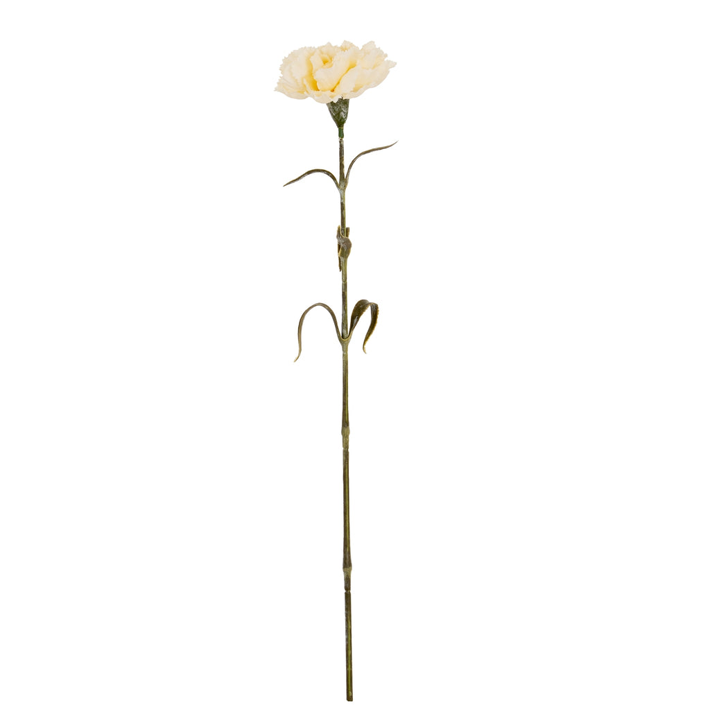 Cream Carnation Stem – alternate view 2