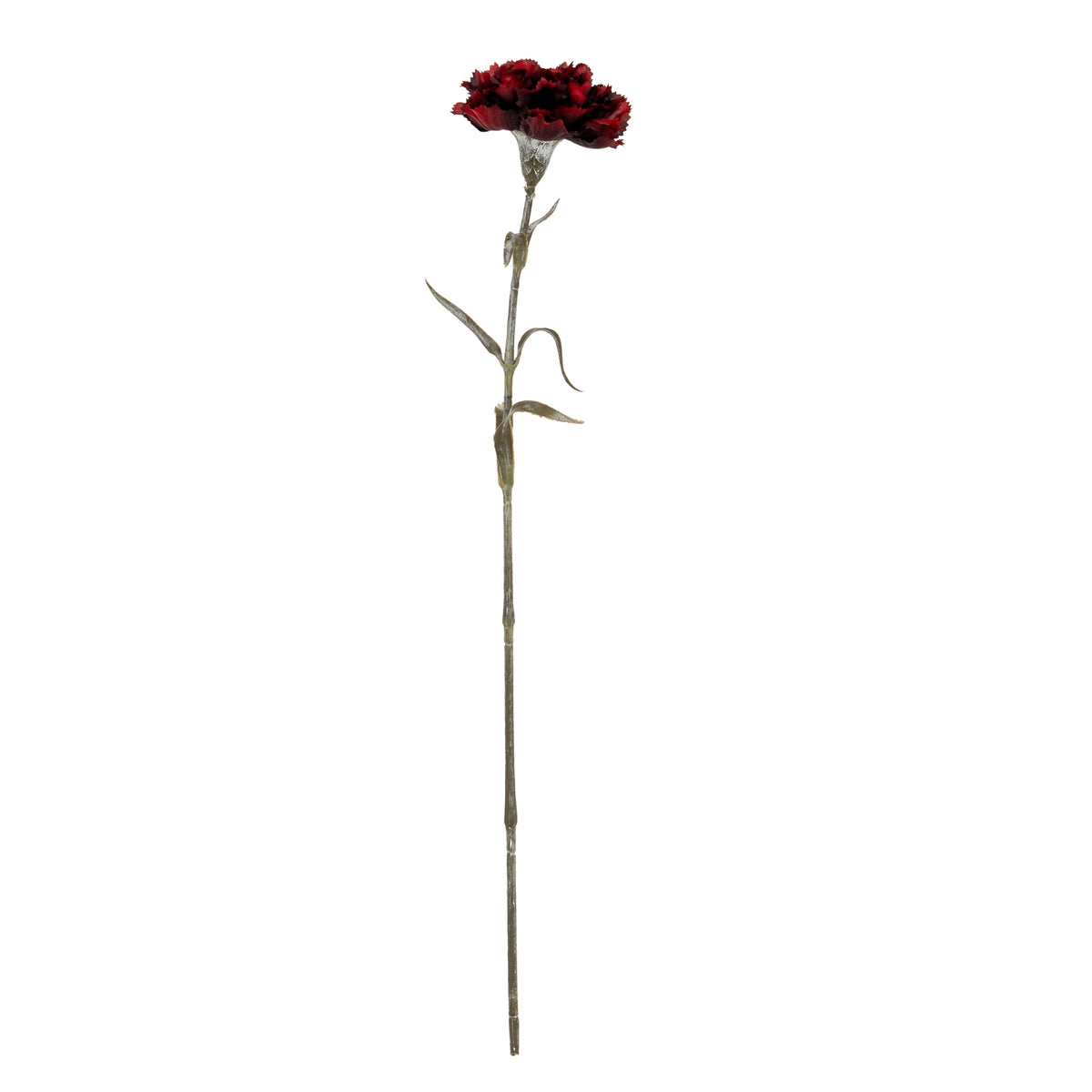 Burgundy Carnation Stem – alternate view 2
