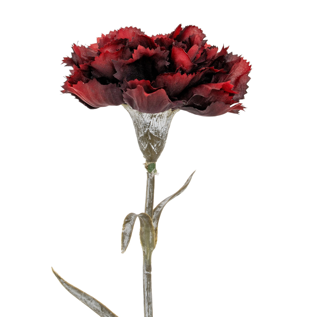 Burgundy Carnation Stem – alternate view 3