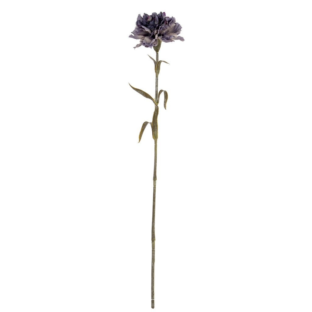 Purple Carnation Stem – alternate view 2