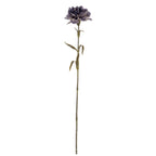 Purple Carnation Stem – alternate view 2