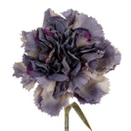 Purple Carnation Stem – alternate view 3