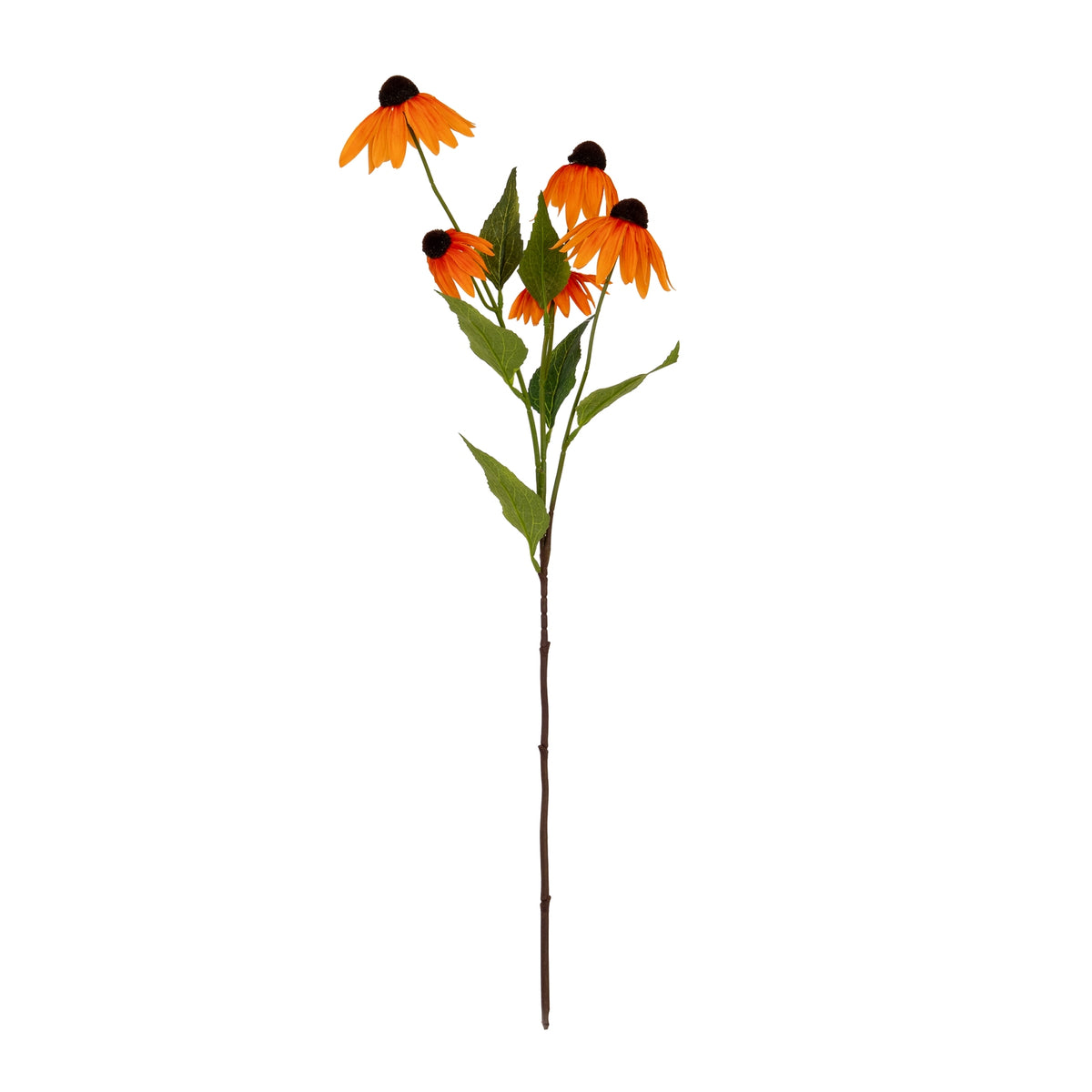 Orange Echinacea Spray – alternate view 2
