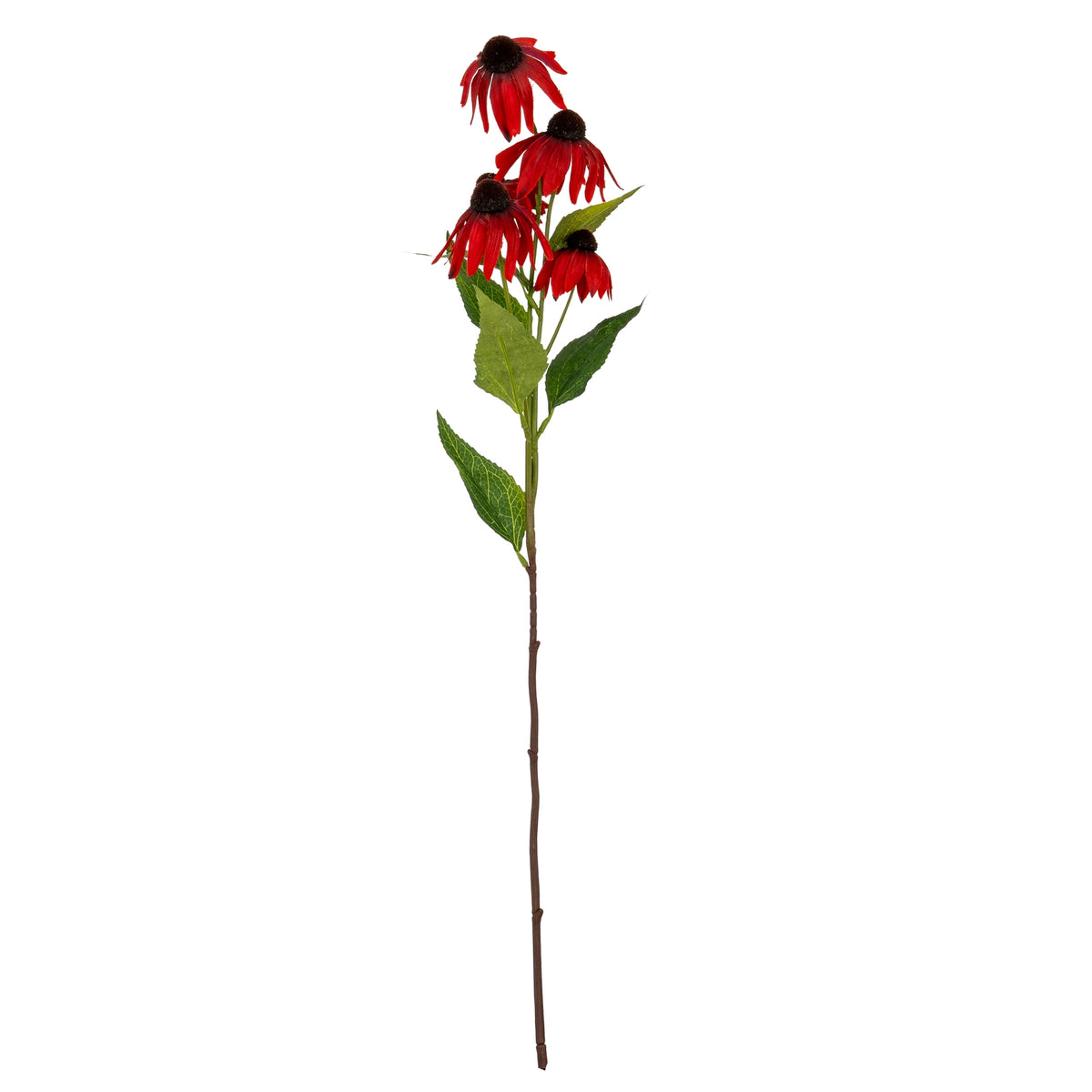 Red Echinacea Spray – alternate view 2