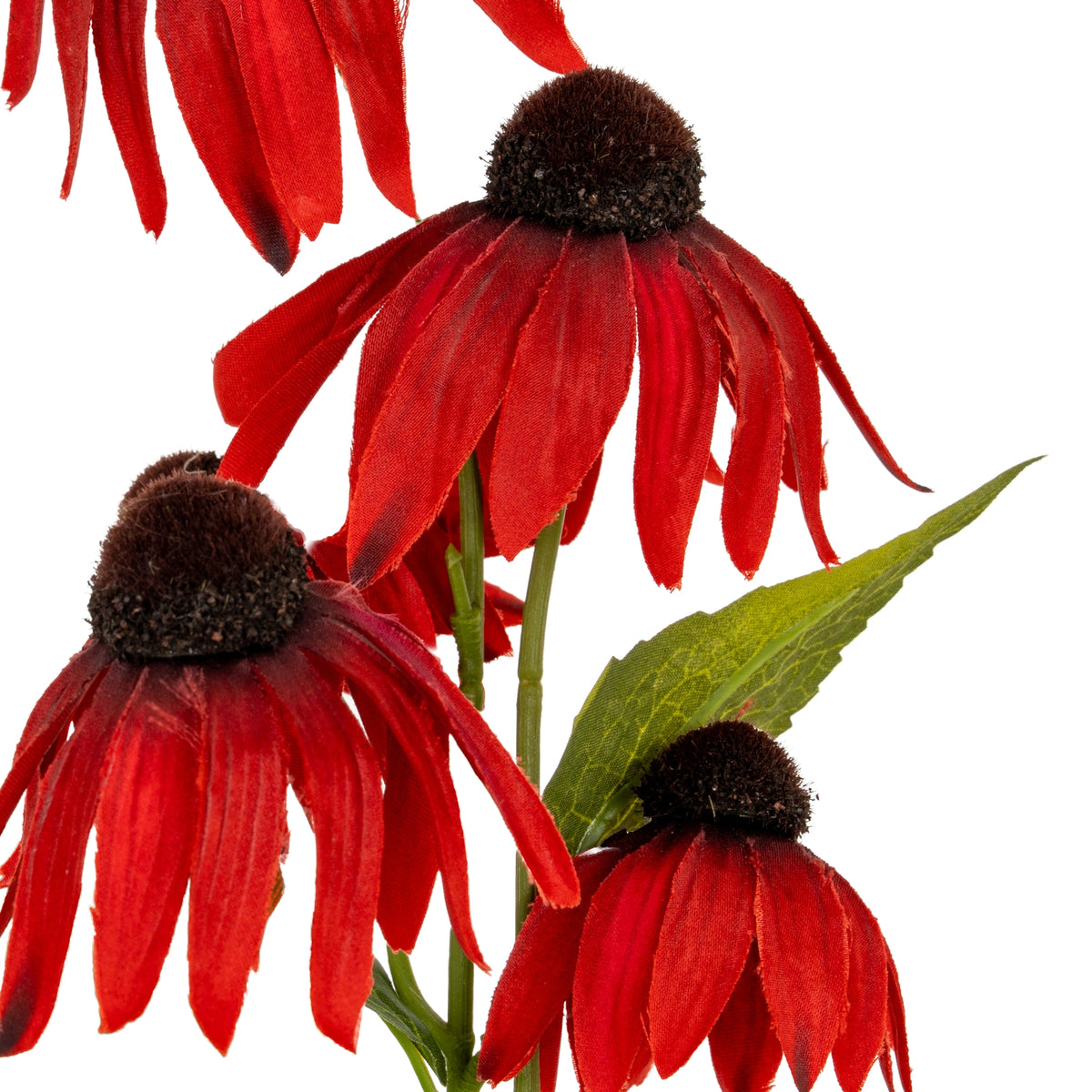 Red Echinacea Spray – alternate view 3