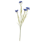 Blue Cornflower Stem – alternate view 2