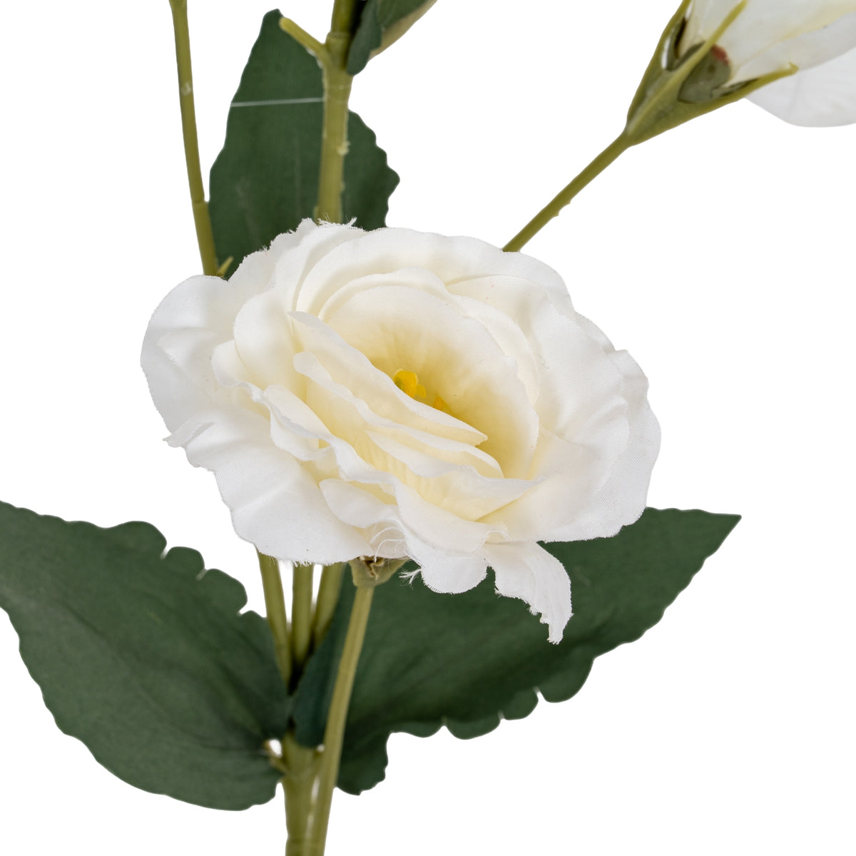 White Lisianthus Spray – alternate view 3