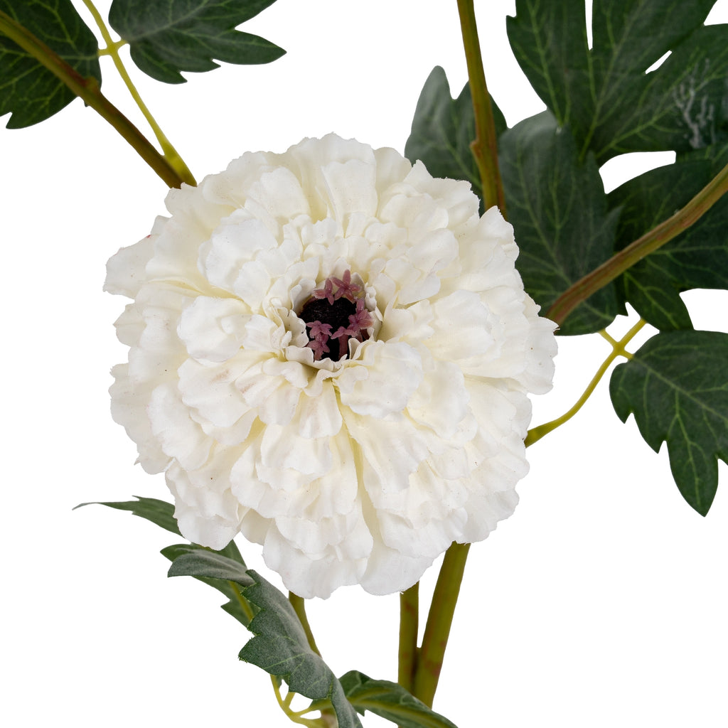 White African Marigold Large Spray – alternate view 3