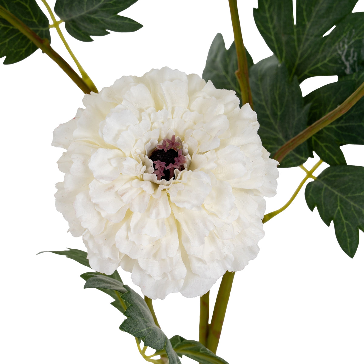 White African Marigold Large Spray – alternate view 3