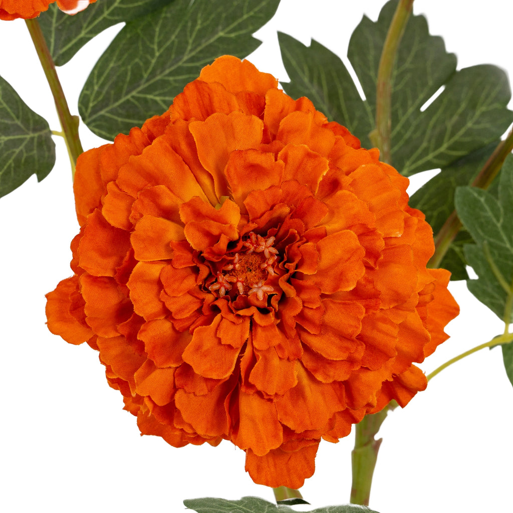 Orange African Marigold Large Spray – alternate view 3