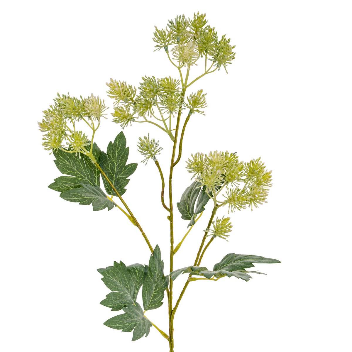 Green French Meadow Spray – alternate view 4