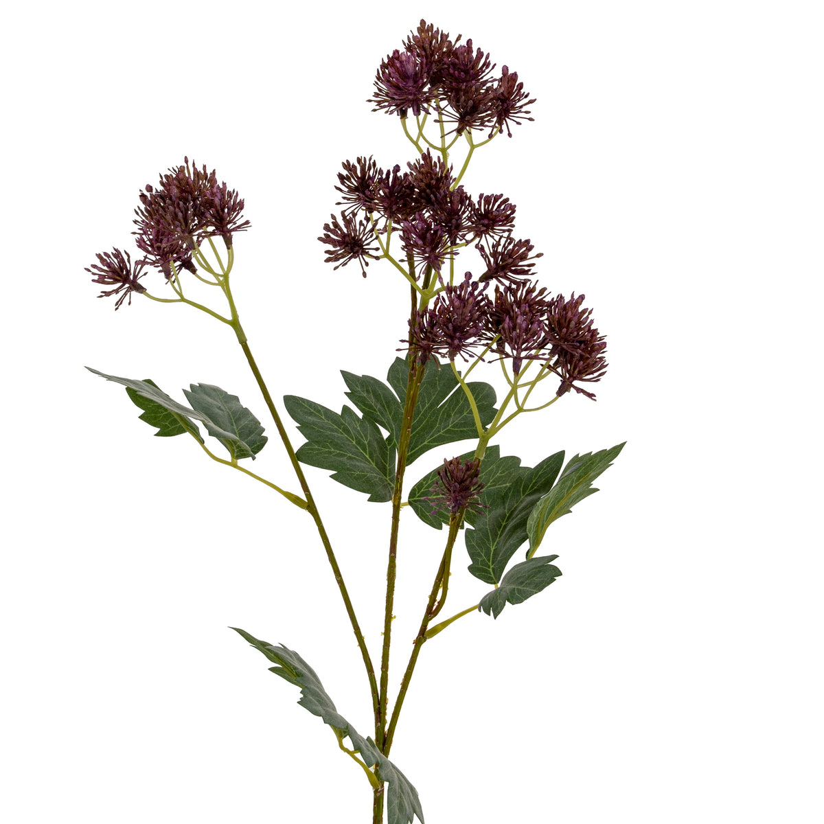 Purple French Meadow Spray – alternate view 3